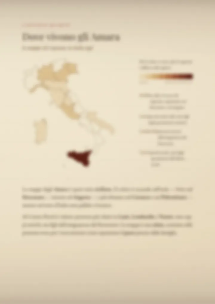 Una pagina del PDF sul cognome Amara, sfocata