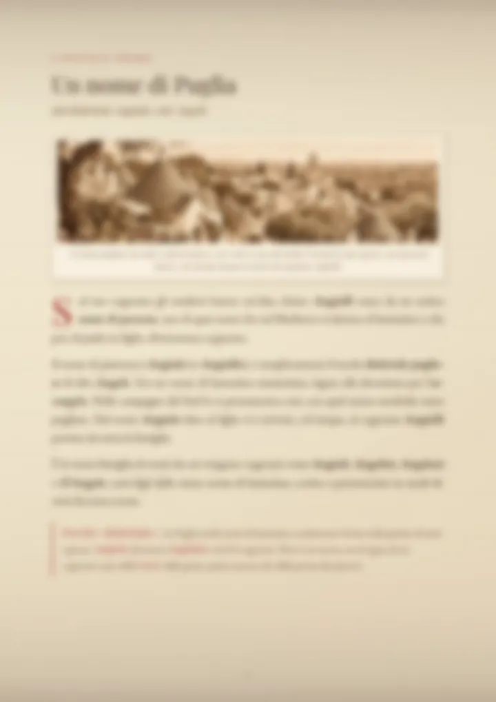 Una pagina del PDF sul cognome Angiulli, sfocata