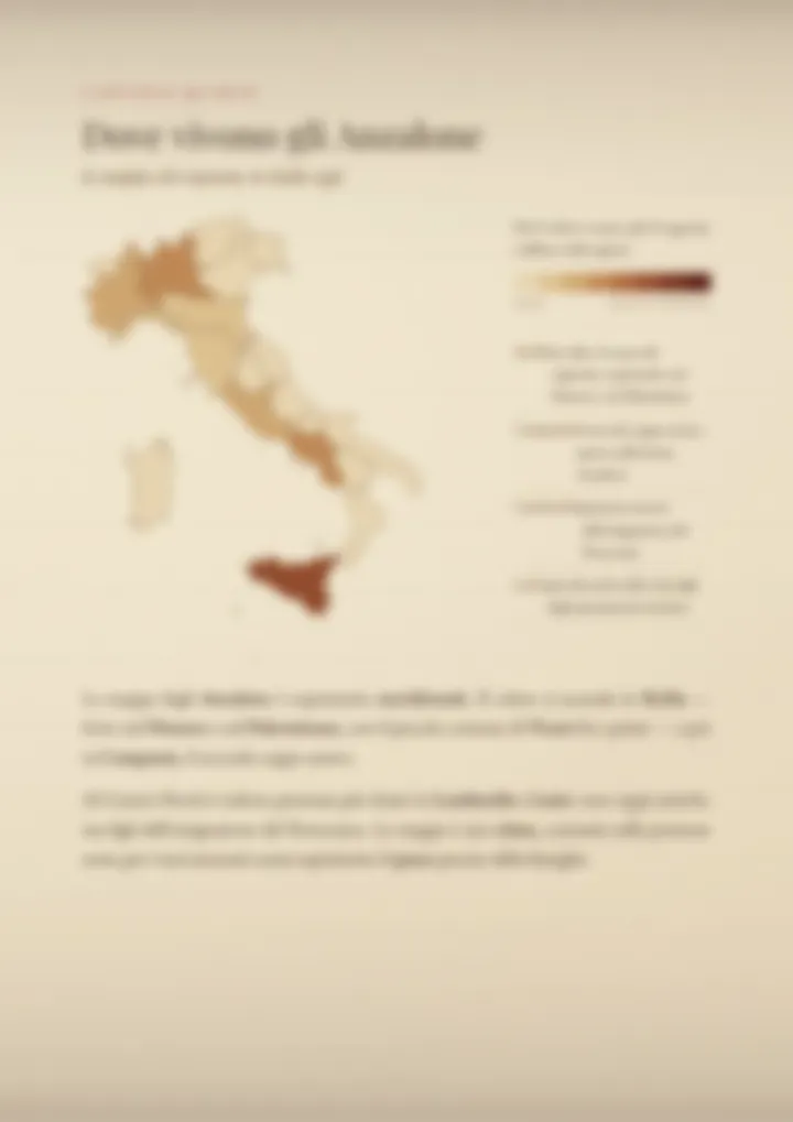 Una pagina del PDF sul cognome Anzalone, sfocata