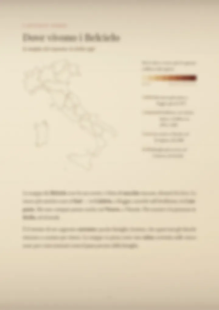 Una pagina del PDF sul cognome Belcielo, sfocata