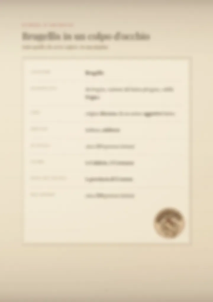 Una pagina del PDF sul cognome Brugellis, sfocata