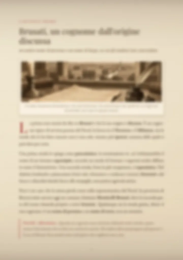 Una pagina del PDF sul cognome Brusati, sfocata
