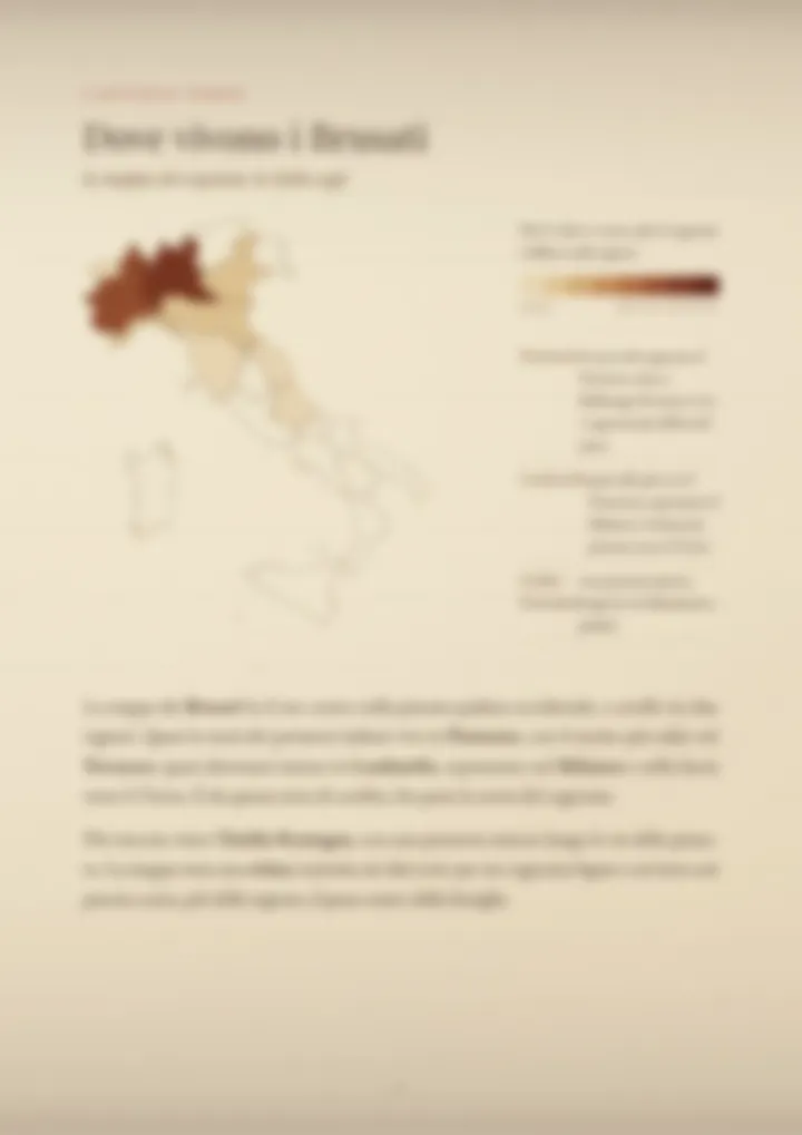 Una pagina del PDF sul cognome Brusati, sfocata