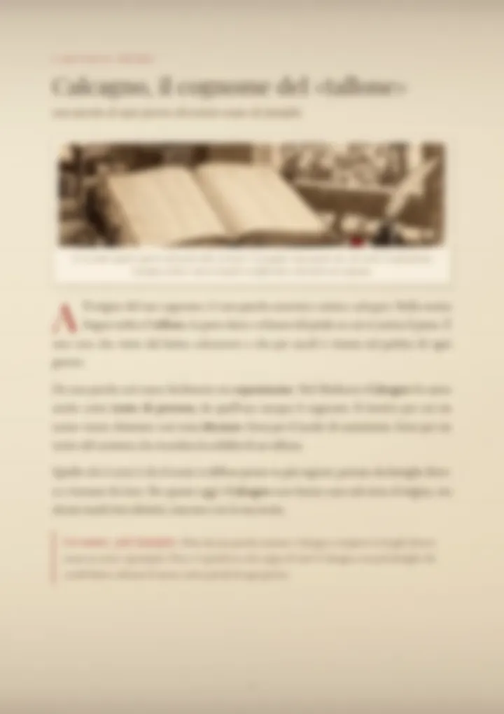 Una pagina del PDF sul cognome Calcagno, sfocata