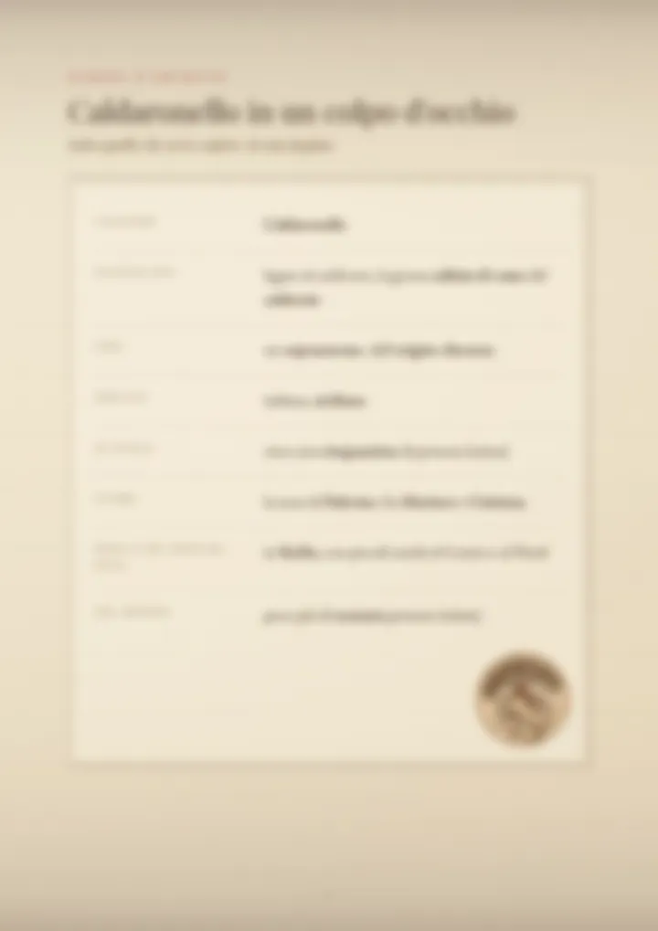 Una pagina del PDF sul cognome Caldaronello, sfocata