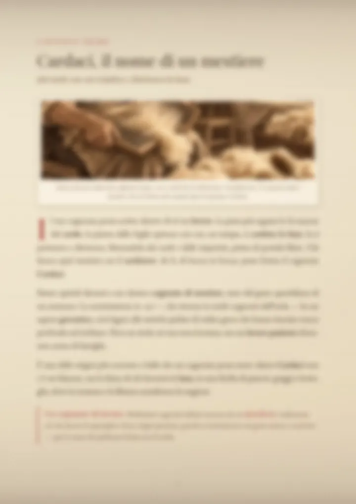Una pagina del PDF sul cognome Cardaci, sfocata