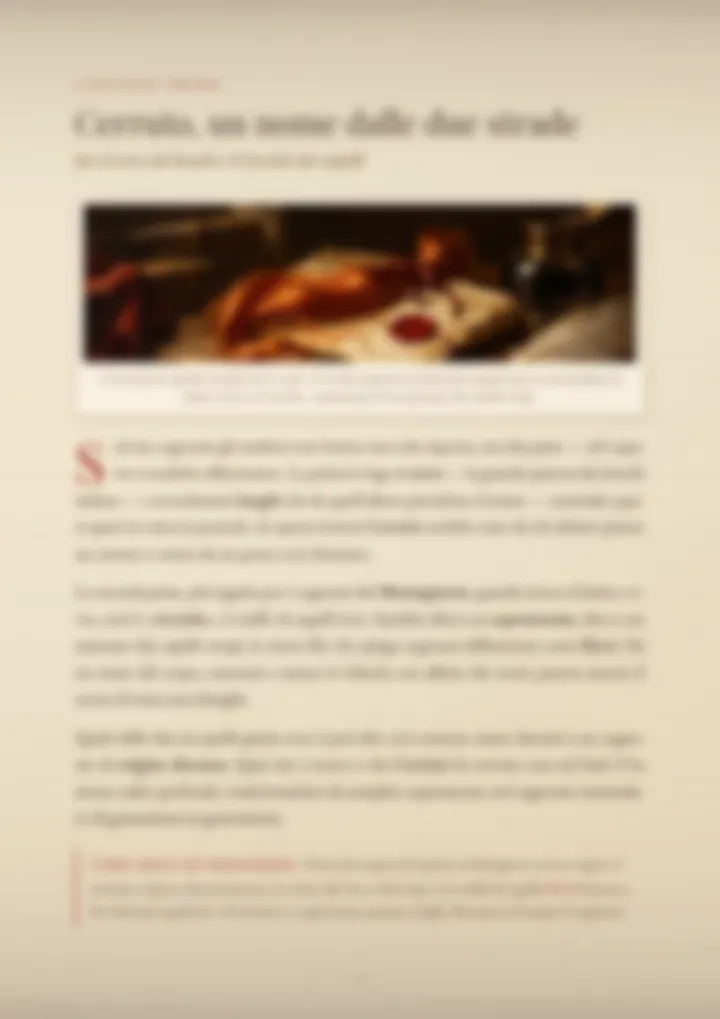 Una pagina del PDF sul cognome Cerruto, sfocata
