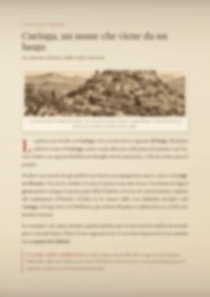 Una pagina del PDF sul cognome Curinga, sfocata