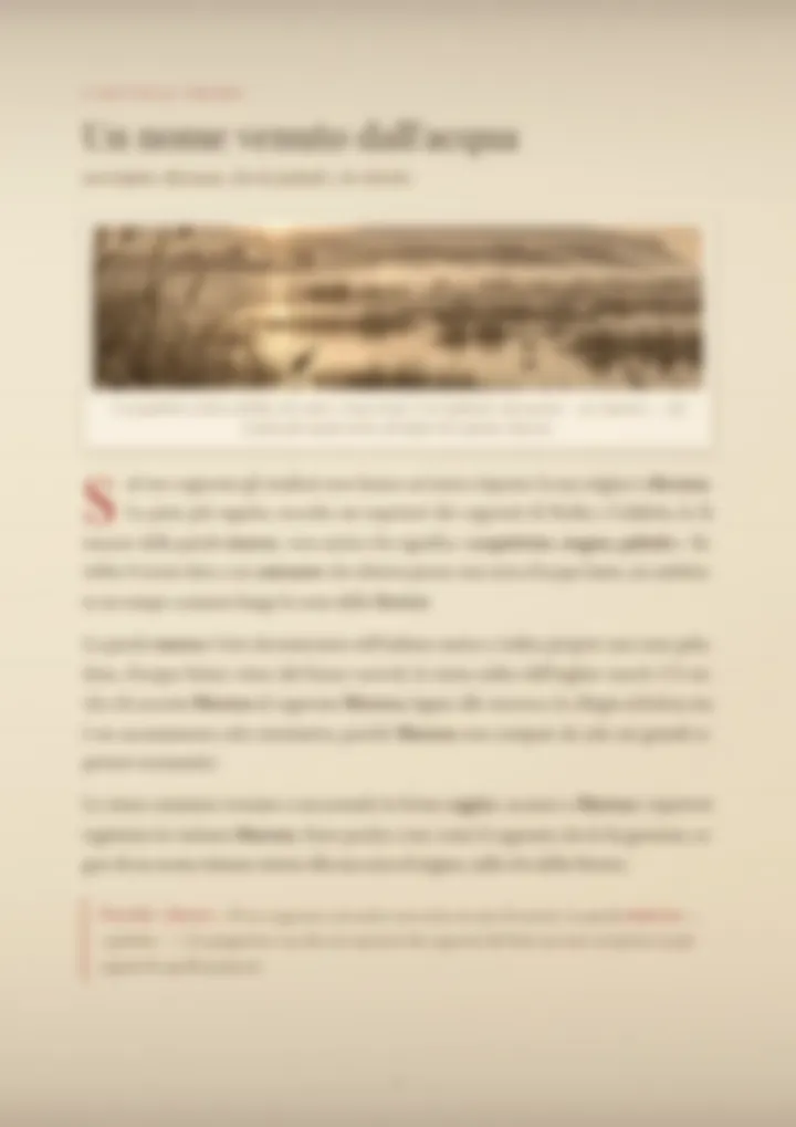 Una pagina del PDF sul cognome Maressa, sfocata