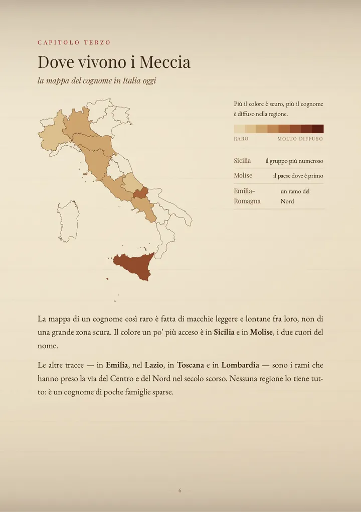 Una pagina del PDF sul cognome Meccia