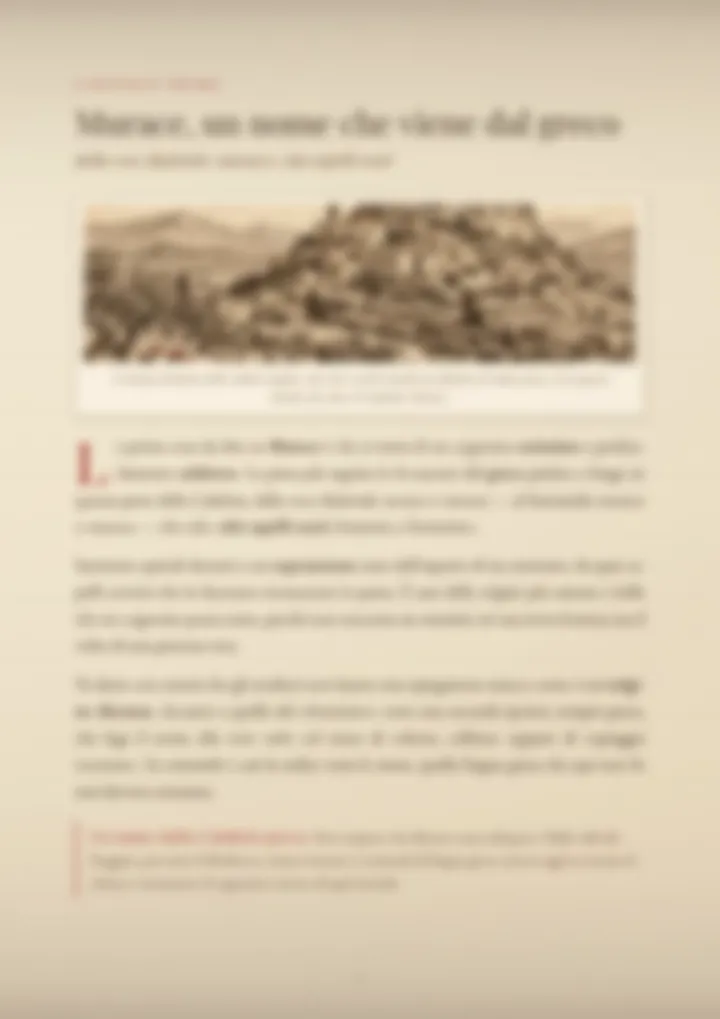 Una pagina del PDF sul cognome Murace, sfocata