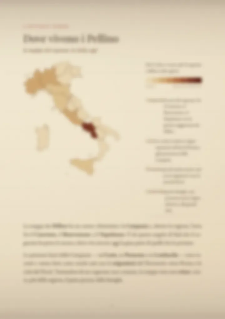 Una pagina del PDF sul cognome Pellino, sfocata