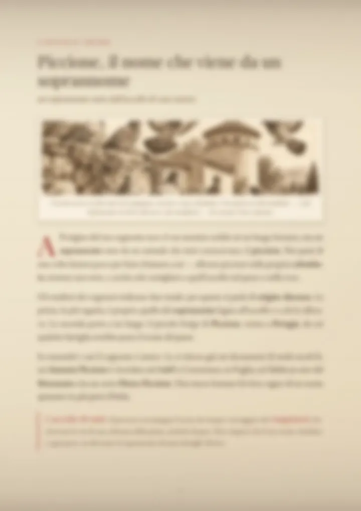 Una pagina del PDF sul cognome Piccione, sfocata