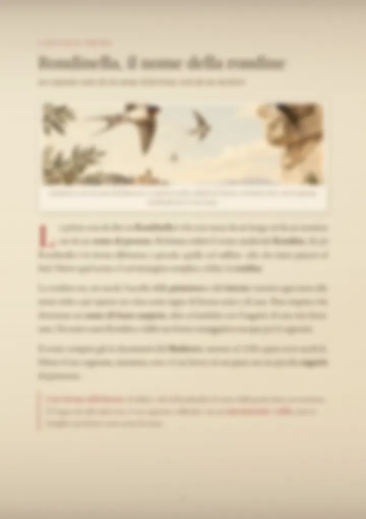 Una pagina del PDF sul cognome Rondinella, sfocata