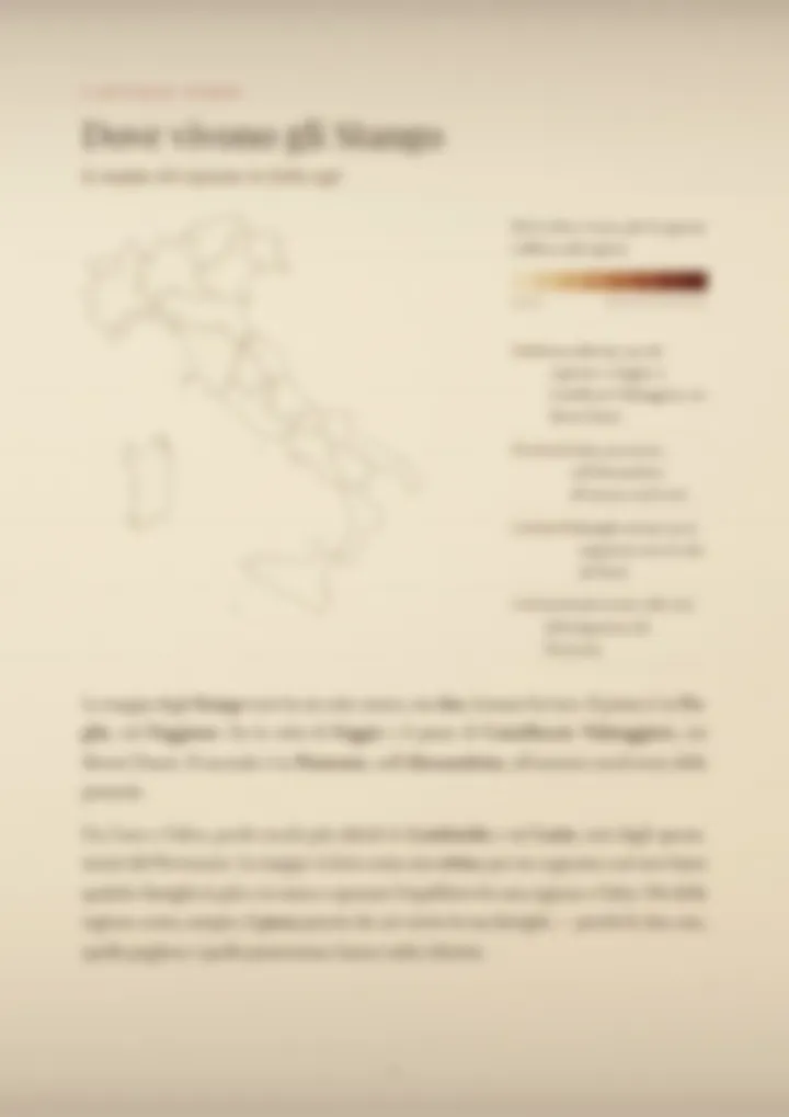 Una pagina del PDF sul cognome Stango, sfocata