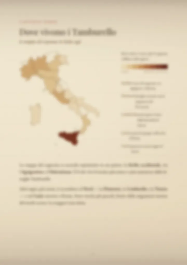 Una pagina del PDF sul cognome Tamburello, sfocata