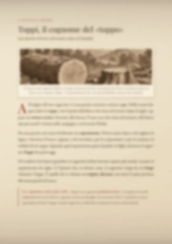 Una pagina del PDF sul cognome Toppi, sfocata