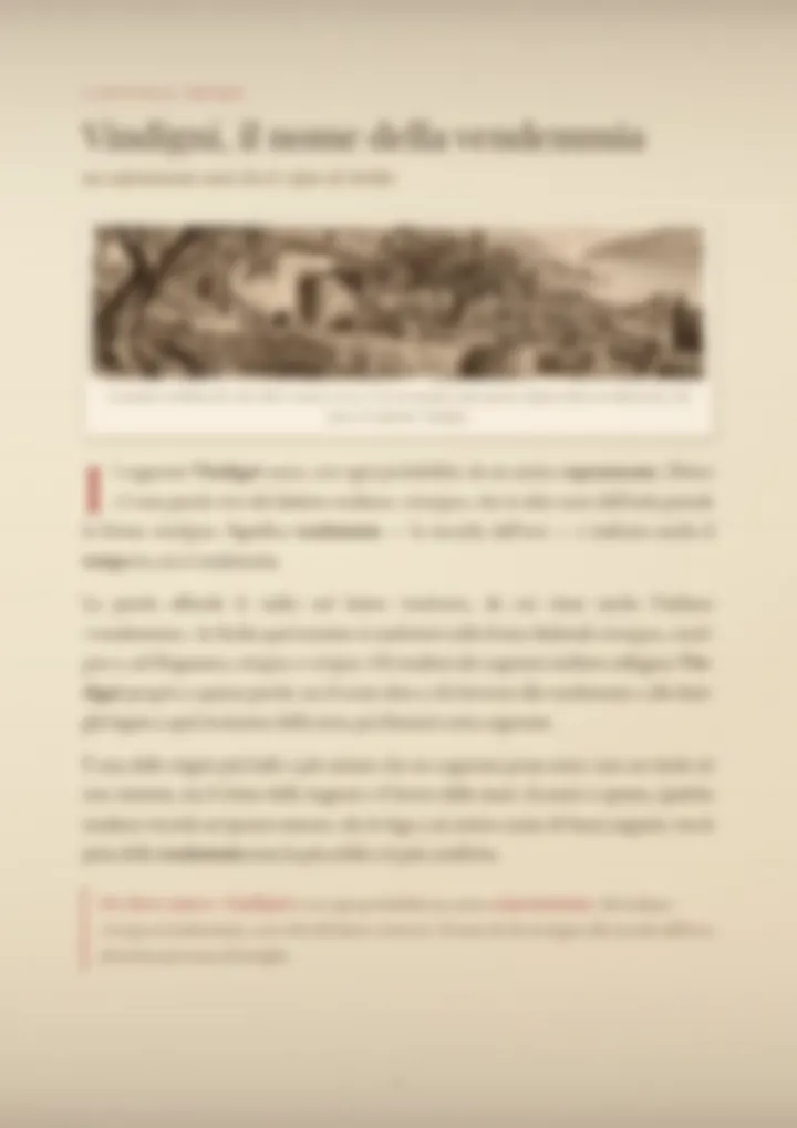 Una pagina del PDF sul cognome Vindigni, sfocata