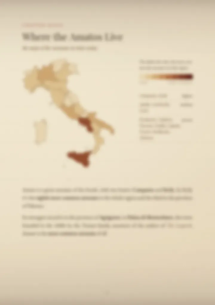 A blurred page from the PDF on the Amato surname