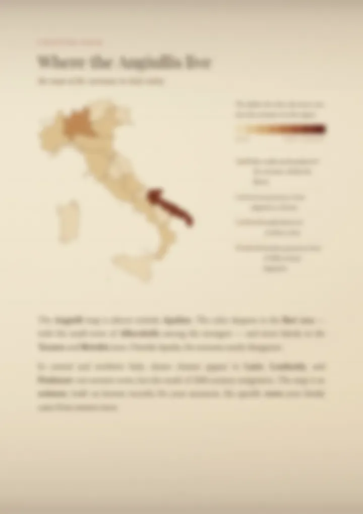A blurred page from the PDF on the Angiulli surname
