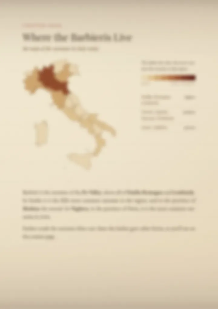 A blurred page from the PDF on the Barbieri surname