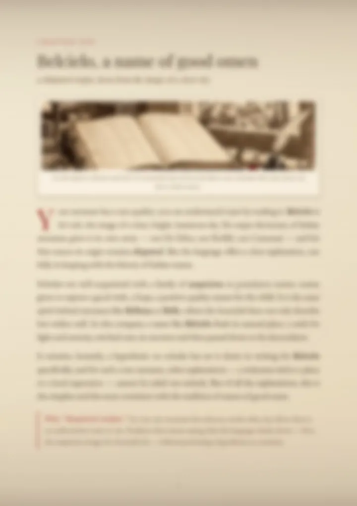 A blurred page from the PDF on the Belcielo surname