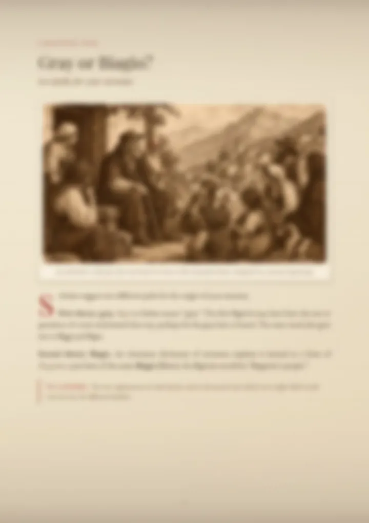 A blurred page from the PDF on the Bigiotti surname