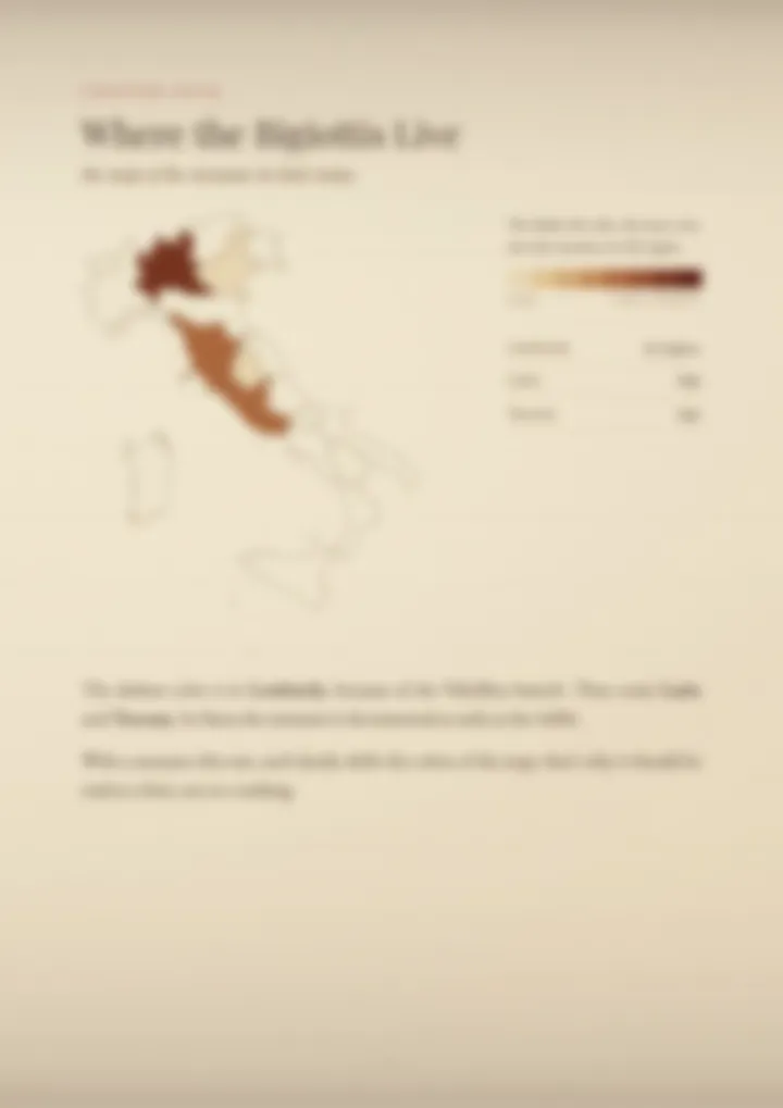 A blurred page from the PDF on the Bigiotti surname
