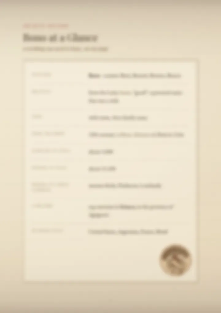 A blurred page from the PDF on the Bono surname