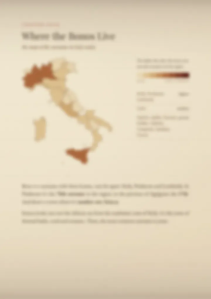 A blurred page from the PDF on the Bono surname