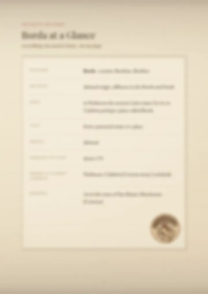 A blurred page from the PDF on the Borda surname