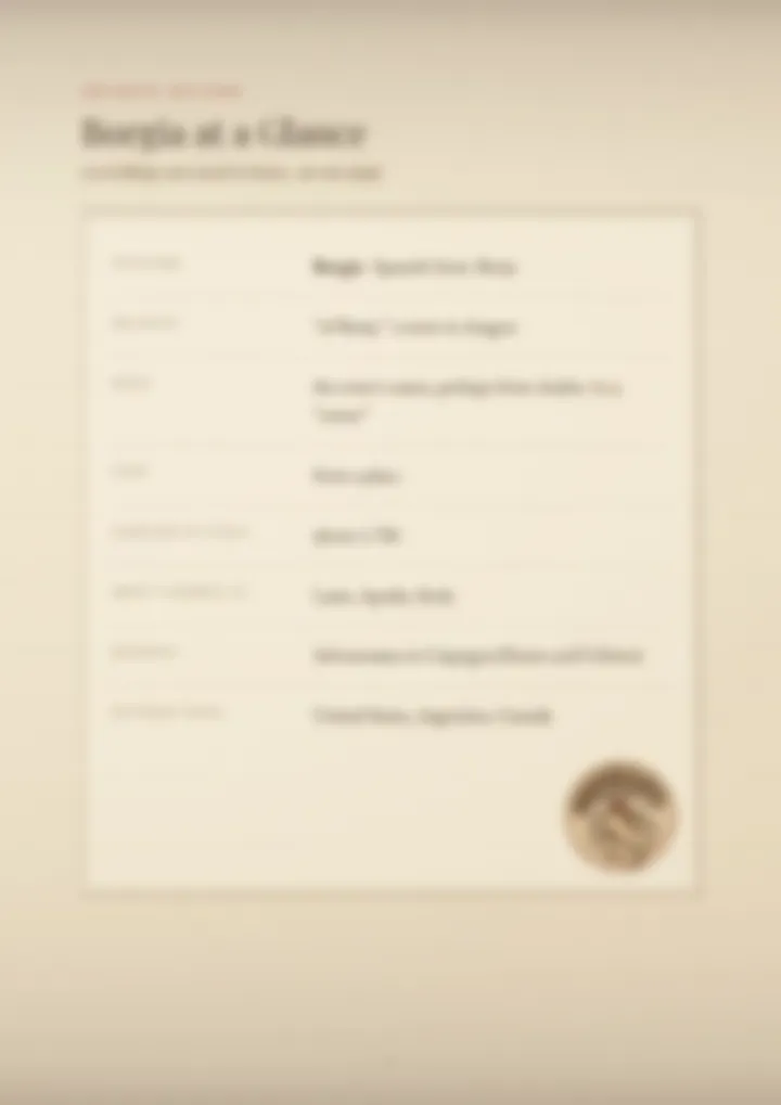 A blurred page from the PDF on the Borgia surname