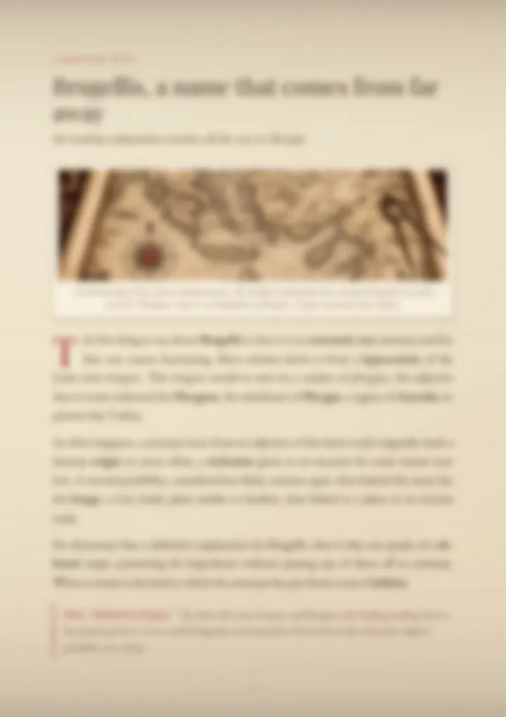 A blurred page from the PDF on the Brugellis surname