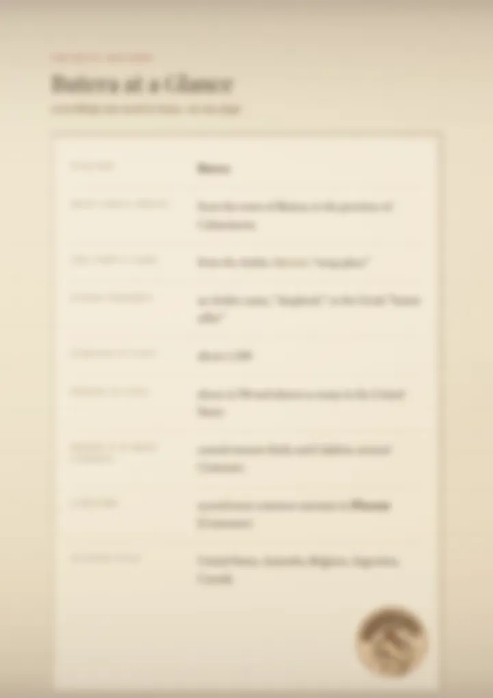 A blurred page from the PDF on the Butera surname