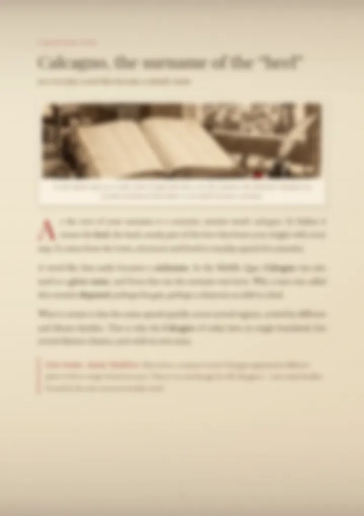 A blurred page from the PDF on the Calcagno surname