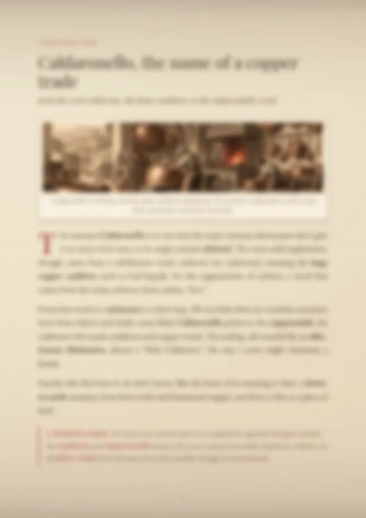 A blurred page from the PDF on the Caldaronello surname