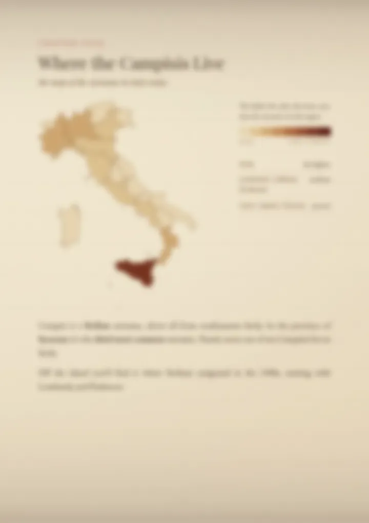 A blurred page from the PDF on the Campisi surname