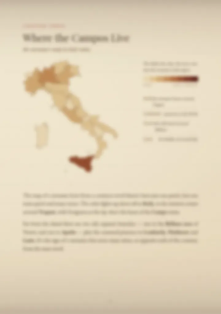 A blurred page from the PDF on the Campo surname