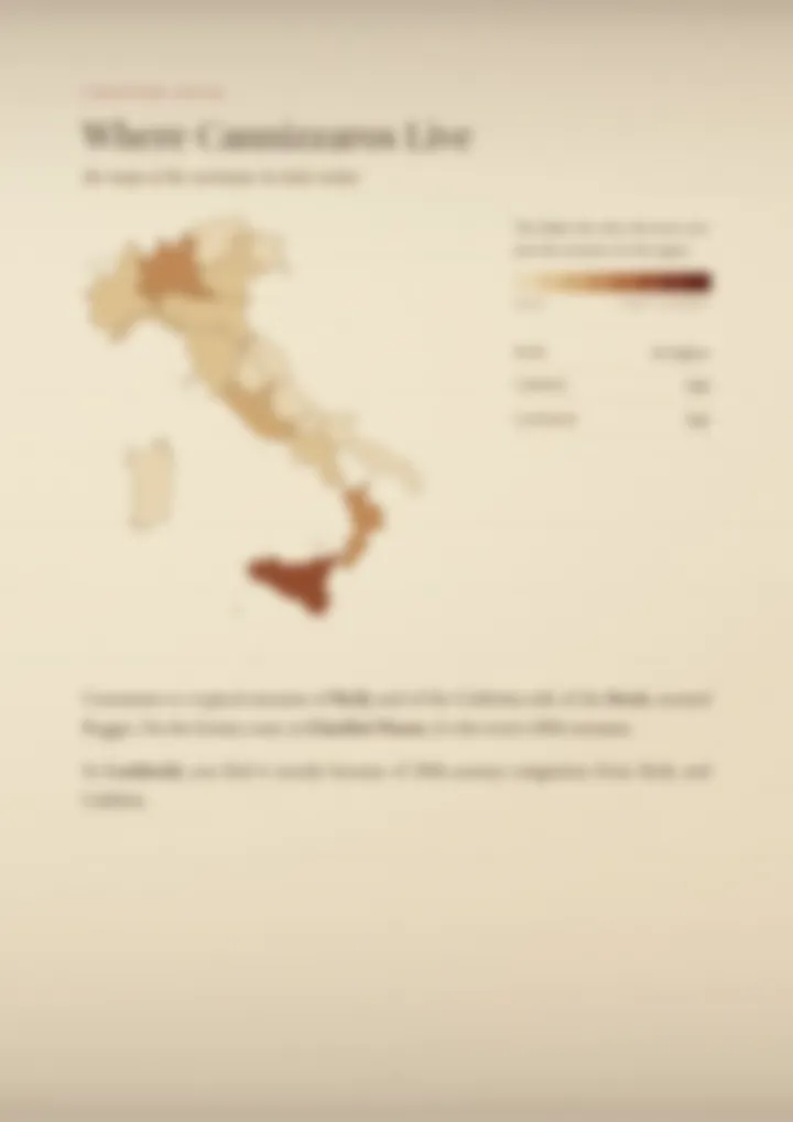 A blurred page from the PDF on the Cannizzaro surname