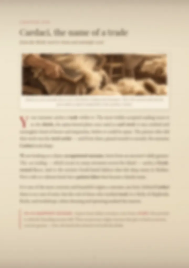 A blurred page from the PDF on the Cardaci surname