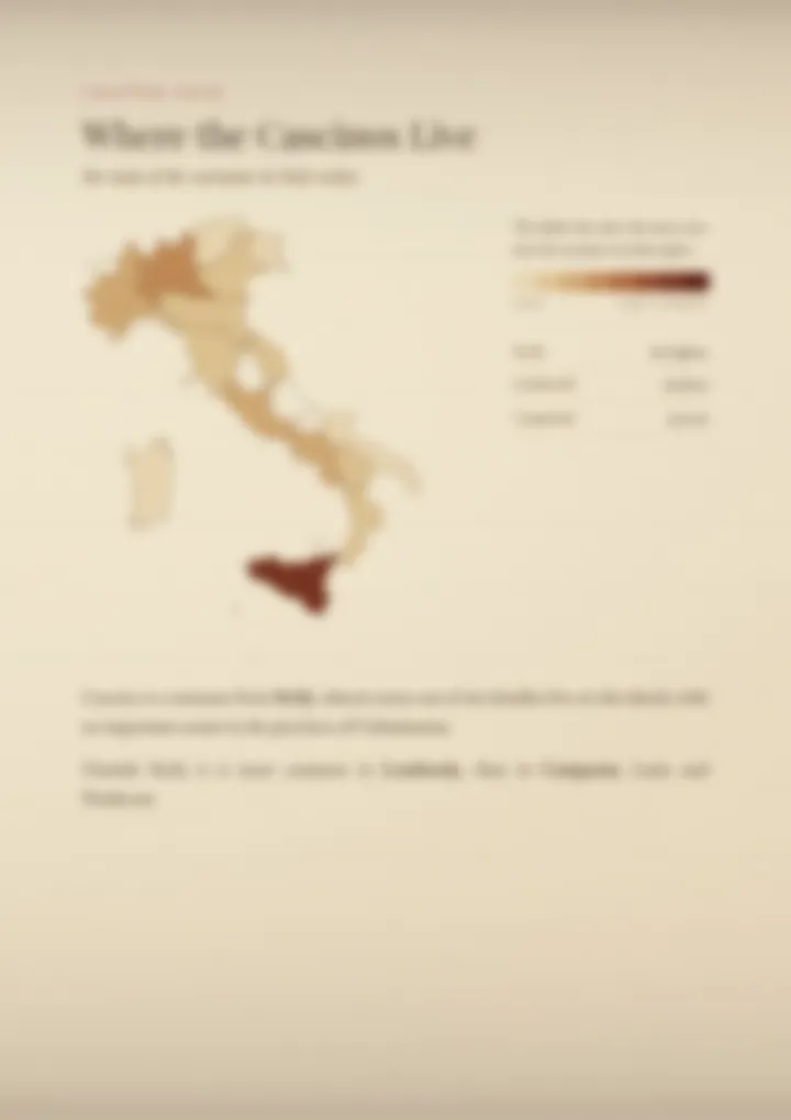 A blurred page from the PDF on the Cascino surname
