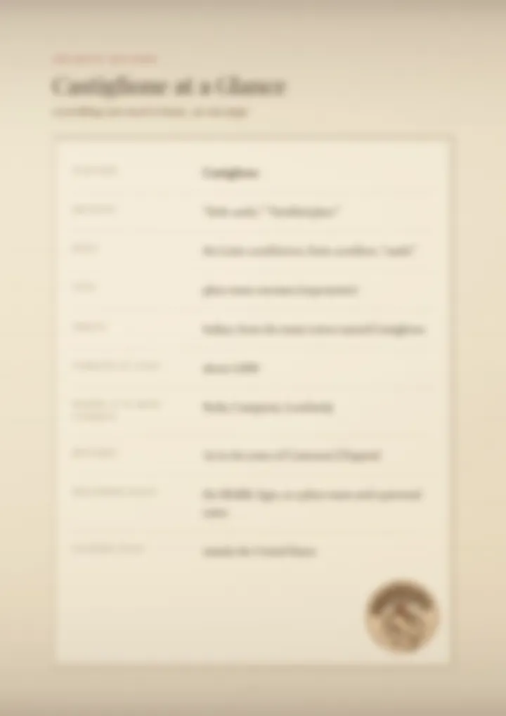 A blurred page from the PDF on the Castiglione surname