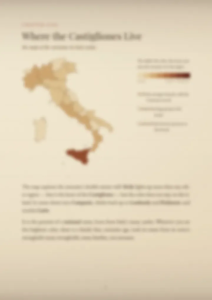A blurred page from the PDF on the Castiglione surname