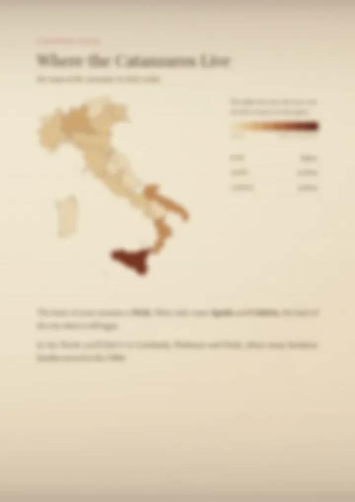 A blurred page from the PDF on the Catanzaro surname