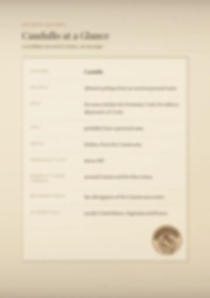 A blurred page from the PDF on the Caudullo surname