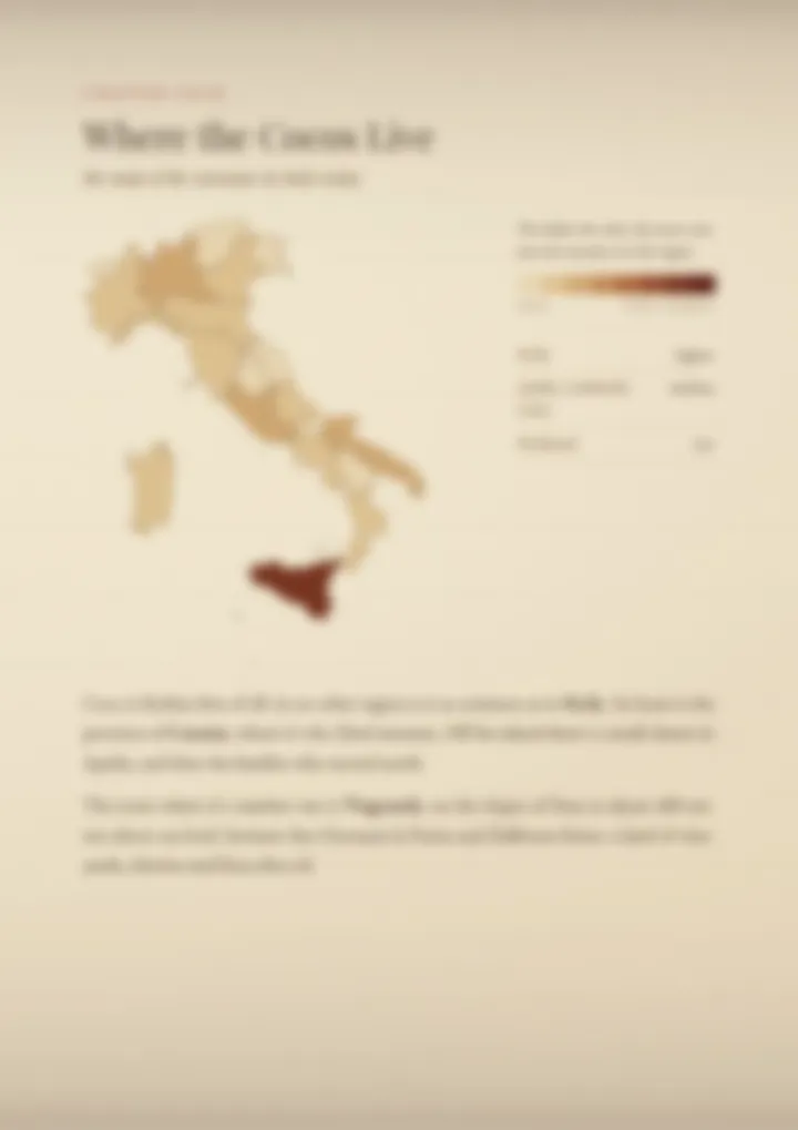 A blurred page from the PDF on the Coco surname