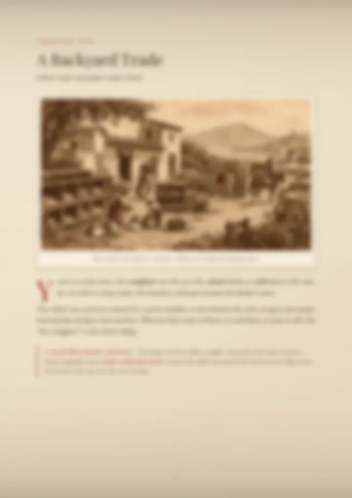 A blurred page from the PDF on the Conigliaro surname
