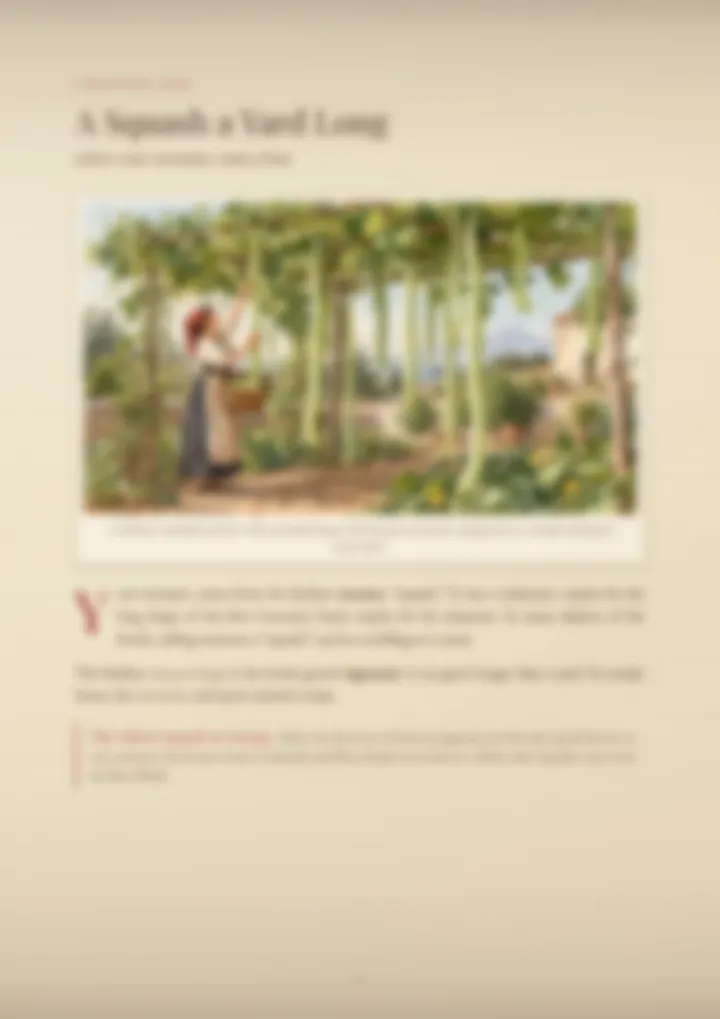 A blurred page from the PDF on the Cucuzza surname
