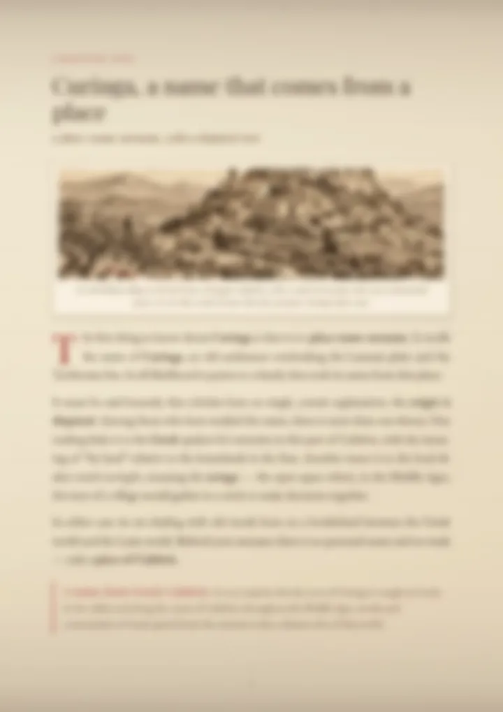 A blurred page from the PDF on the Curinga surname
