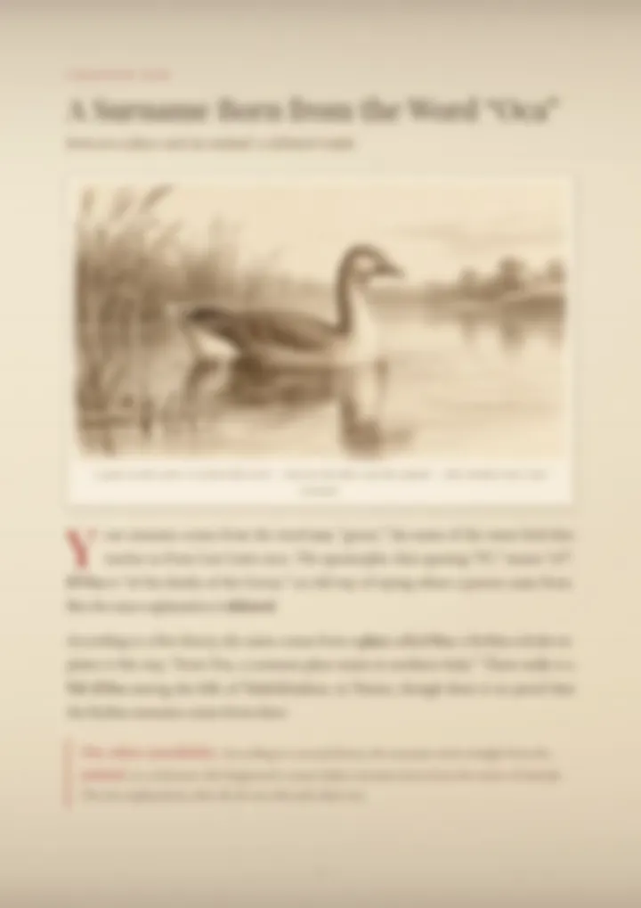 A blurred page from the PDF on the D’Oca surname